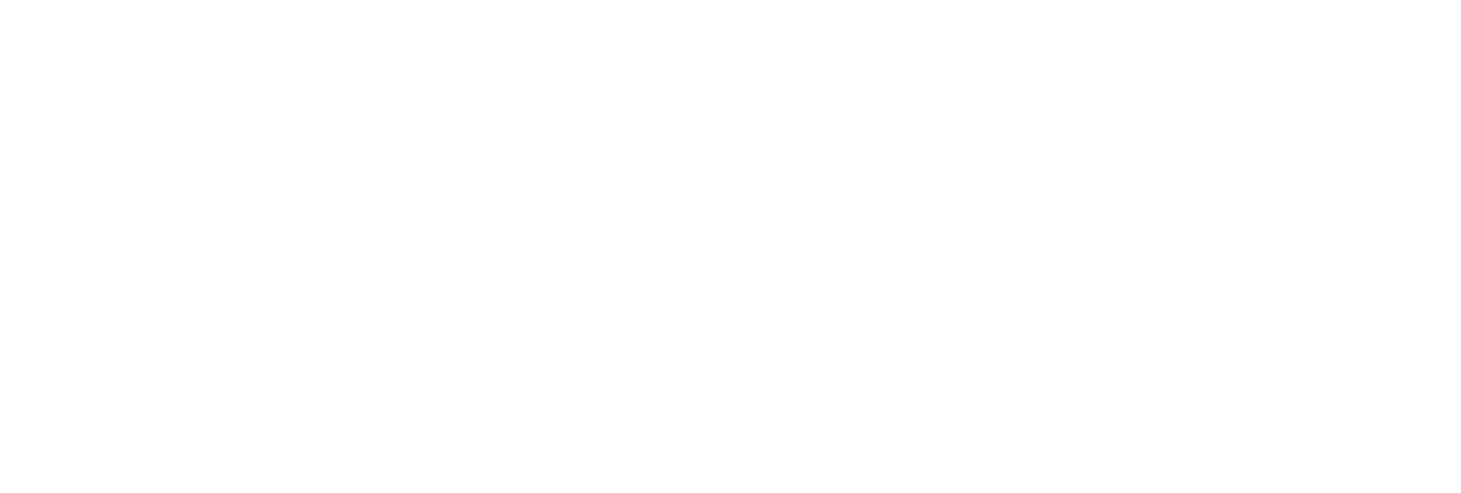 Big Bads Wolf Footer Logo